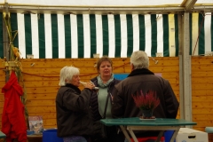 imgp1196