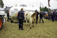 treckertreffen 2017 100 von 219