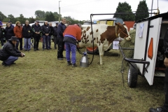 treckertreffen 2017 102 von 219