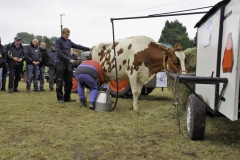treckertreffen 2017 103 von 219
