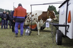 treckertreffen 2017 105 von 219