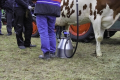 treckertreffen 2017 106 von 219