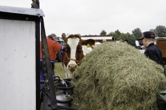 treckertreffen 2017 110 von 219