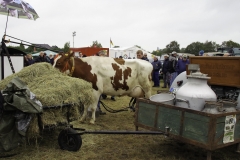 treckertreffen 2017 111 von 219