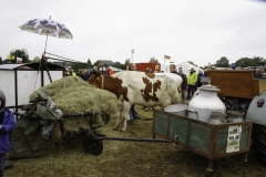 treckertreffen 2017 113 von 219