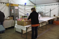 treckertreffen 2017 114 von 219