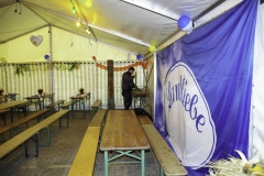 treckertreffen 2017 116 von 219