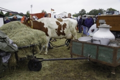 treckertreffen 2017 118 von 219