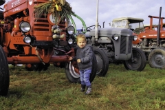 treckertreffen 2017 133 von 219