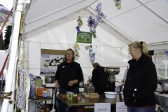treckertreffen 2017 156 von 219