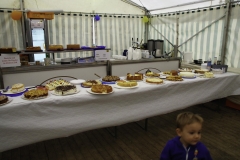 treckertreffen 2017 171 von 219