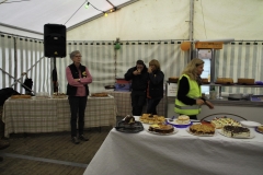 treckertreffen 2017 172 von 219