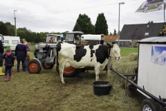 treckertreffen 2017 178 von 219