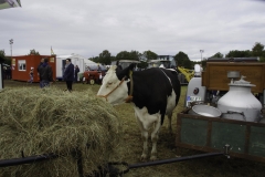 treckertreffen 2017 184 von 219