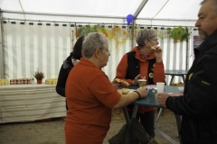 treckertreffen 2017 214 von 219