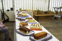 treckertreffen 2017 76 von 219