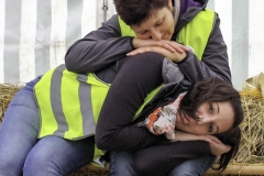 treckertreffen 2017 79 von 219