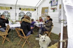 treckertreffen 2017 85 von 219