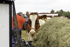 treckertreffen 2017 91 von 219