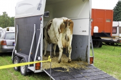 treckertreffen 2017 92 von 219