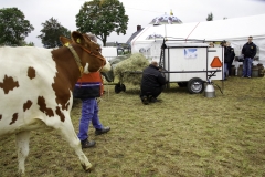 treckertreffen 2017 98 von 219