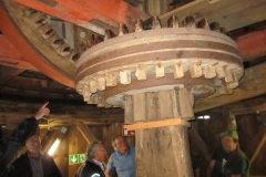 25