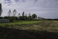 warbeyen 10 von 97