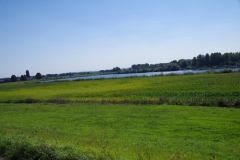 imgp1599